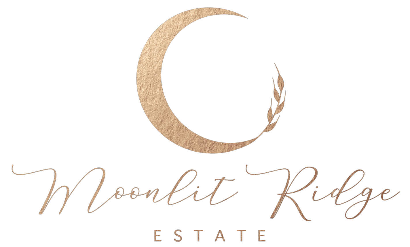 Moonlit Ridge-02